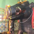 Introduction – Majholi is a small town near Jabalpur. Cunningham visited this town in 1873-74 and reported its antiquities. The town does not have many antiquarian remains except one exquisite...