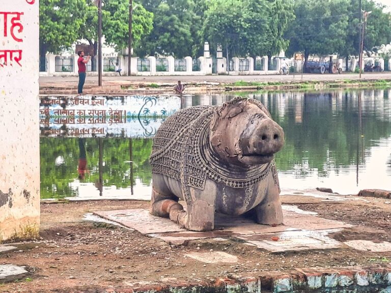 Damoh – Varaha Sculpture near Phutera Tank